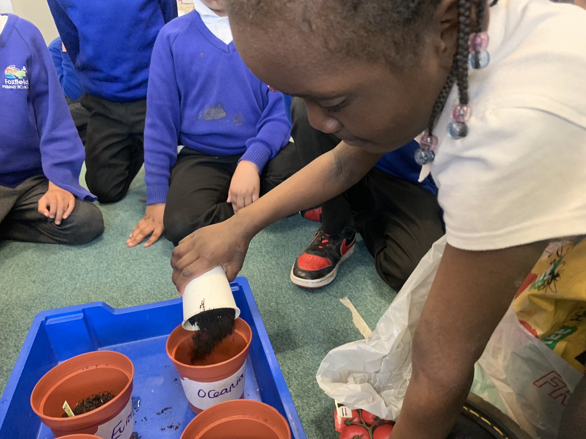 Sycamore Tree Class tweet media