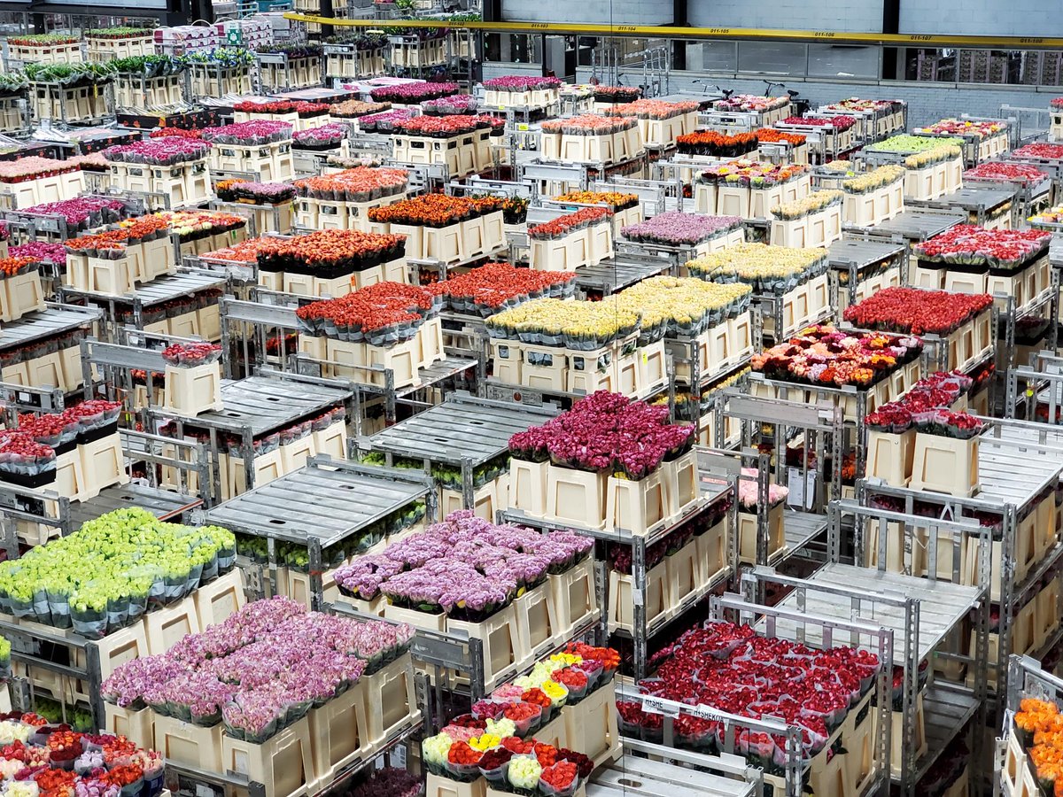 Southern U.S. Trade Association tweet media