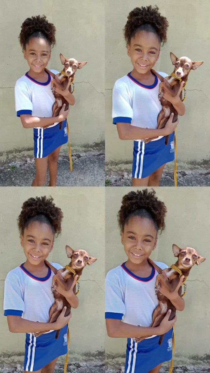 andressalemoss1's tweet photo. 🐕🥰 https://t.co/6G8JBulfw9