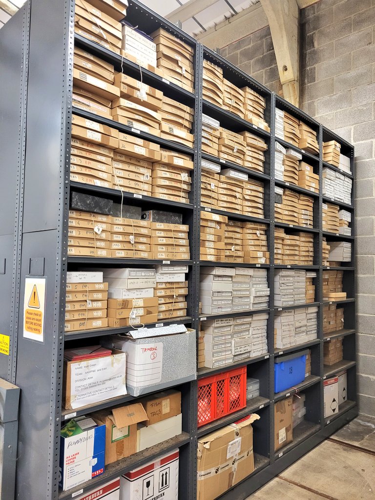 otolithgirl's tweet photo. What a privilege to raid the amazing @CefasGovUK archive. #Otoliths galore!!! I can see why you campaigned so hard for it @pleuronect!! Thank you Valerio and Suzy 🙌  #KidInASweetShop https://t.co/tJIwmaw4AZ