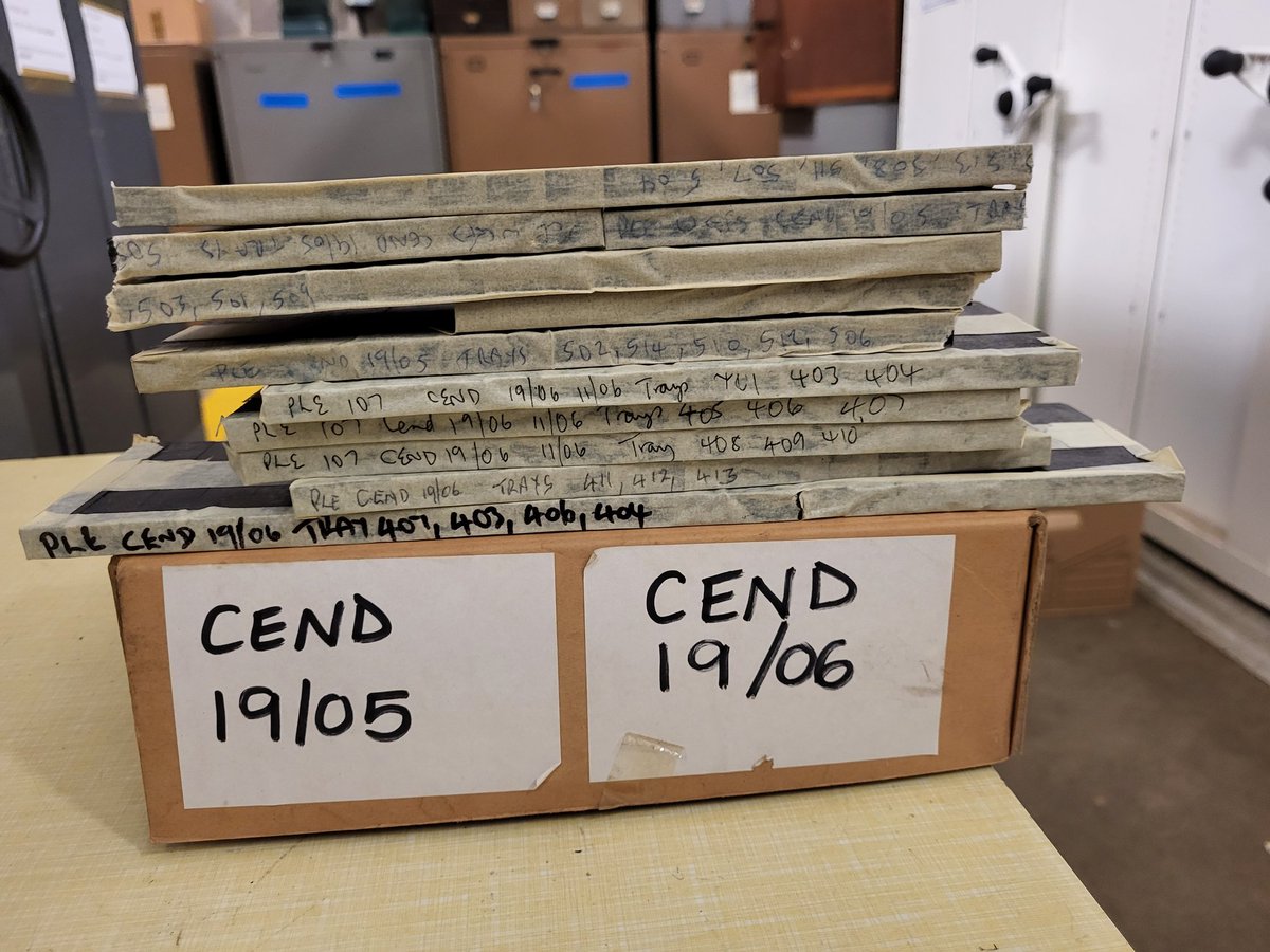 otolithgirl's tweet photo. What a privilege to raid the amazing @CefasGovUK archive. #Otoliths galore!!! I can see why you campaigned so hard for it @pleuronect!! Thank you Valerio and Suzy 🙌  #KidInASweetShop https://t.co/tJIwmaw4AZ