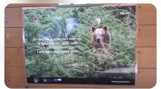 maubar58's tweet photo. @iconoholic @MaurizioFugatti E non usare l’orso per fare la pubblicità al Trentino. https://t.co/5yXFzIOBzm