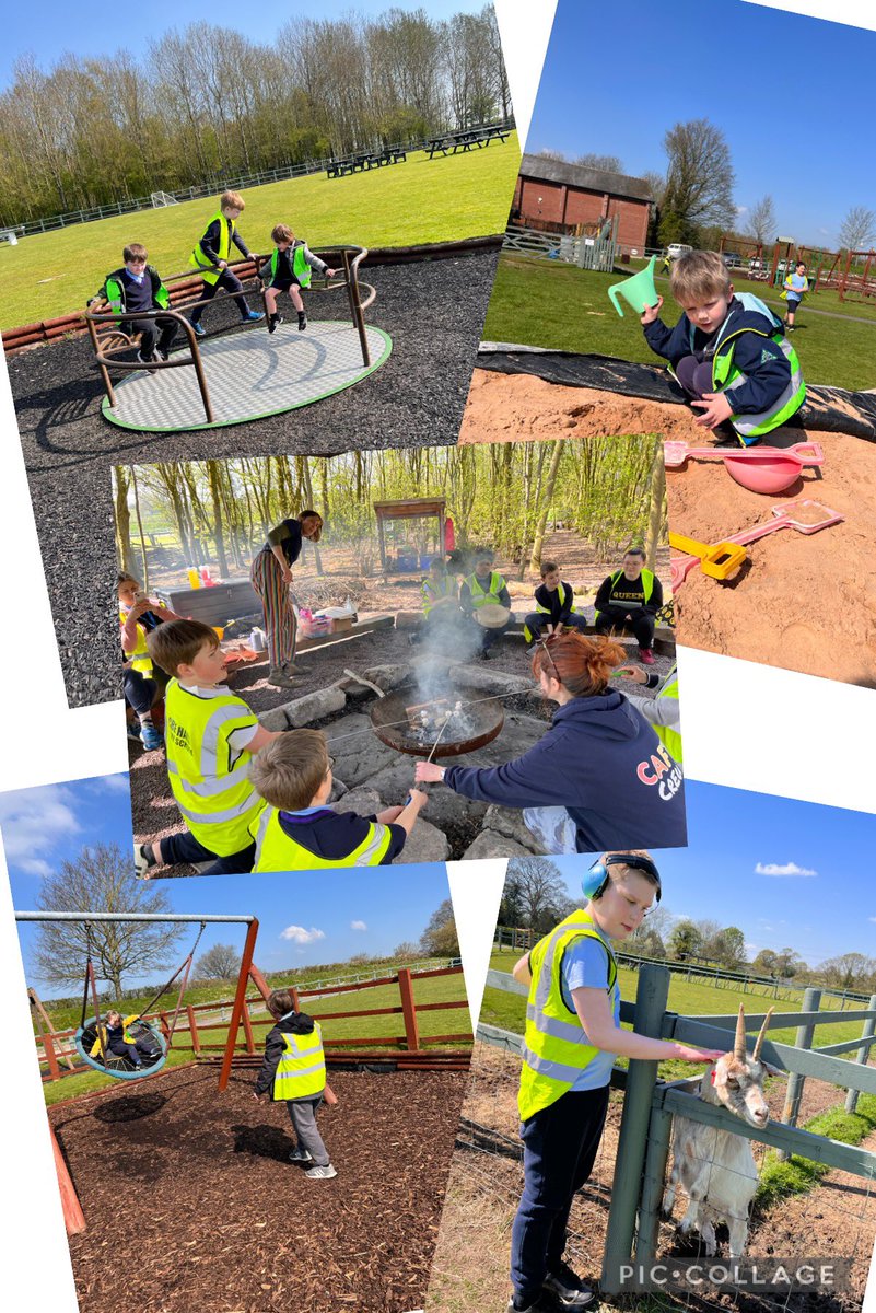 Owls - Mrs Harrison 🦉 tweet media