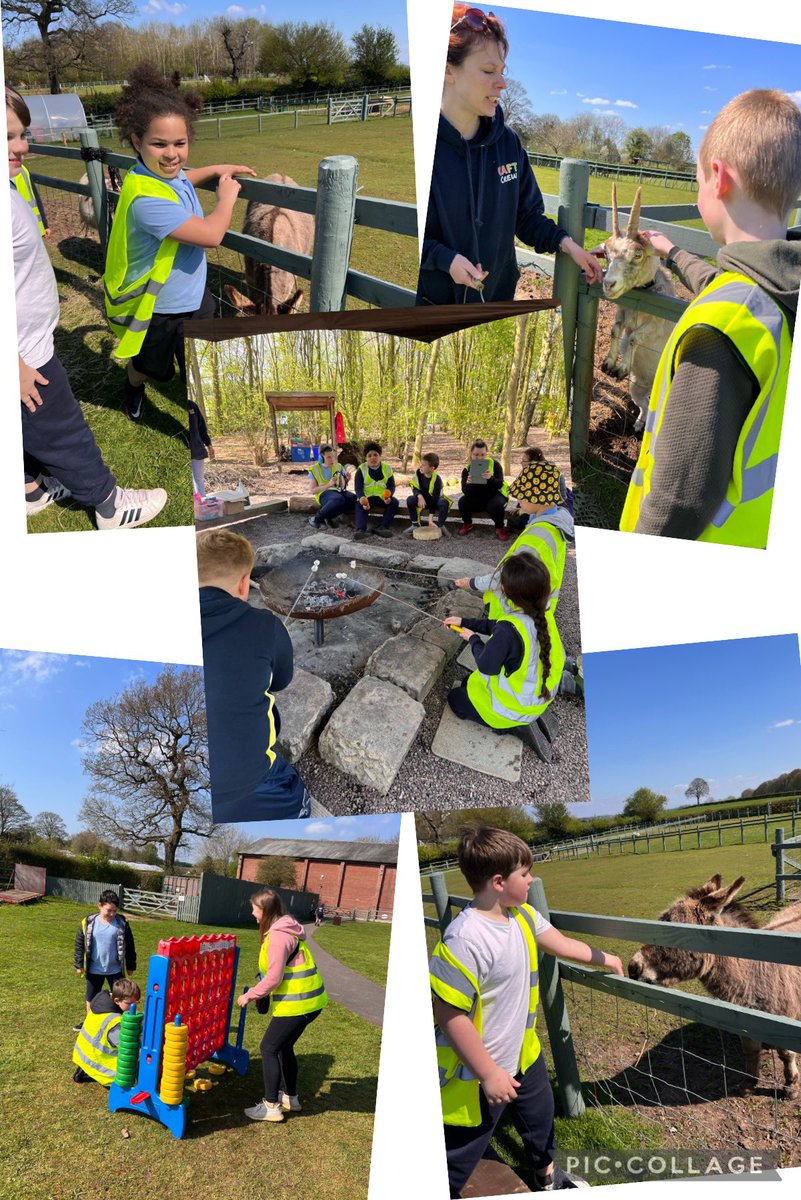 Owls - Mrs Harrison 🦉 tweet media