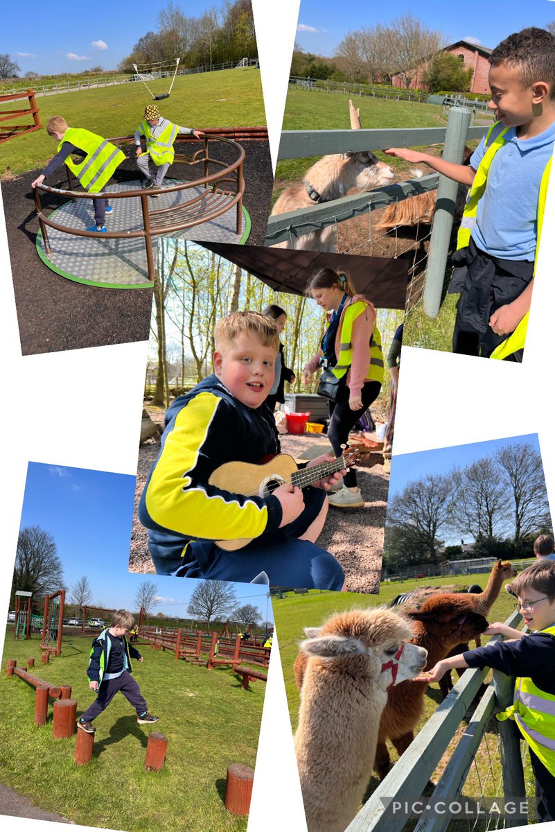 Owls - Mrs Harrison 🦉 tweet media