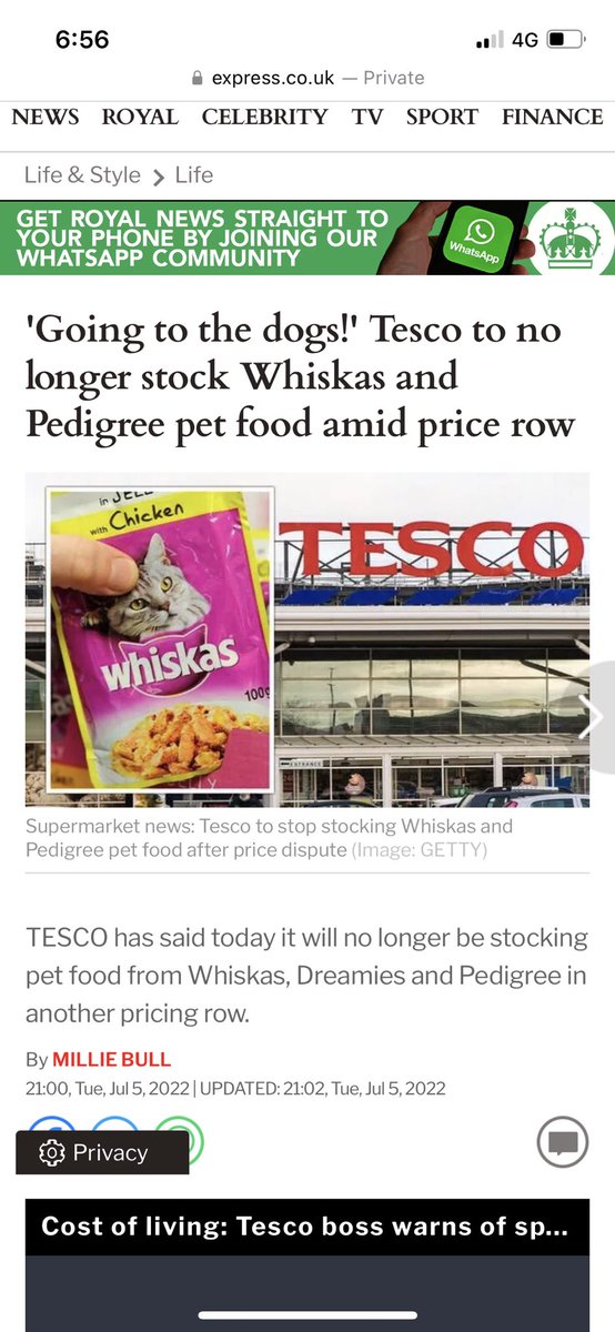 Olijackson11's tweet photo. @Tesco Absolutely disgusting that last year you had a row with Whiskas about a price hike with their cat food, to a year later Tescos own brand cat food is more expensive. Last year Tescos cat food was £10, now it’s more expensive than Whiskas! Talk about money grabbing! https://t.co/OkGNAXM28r