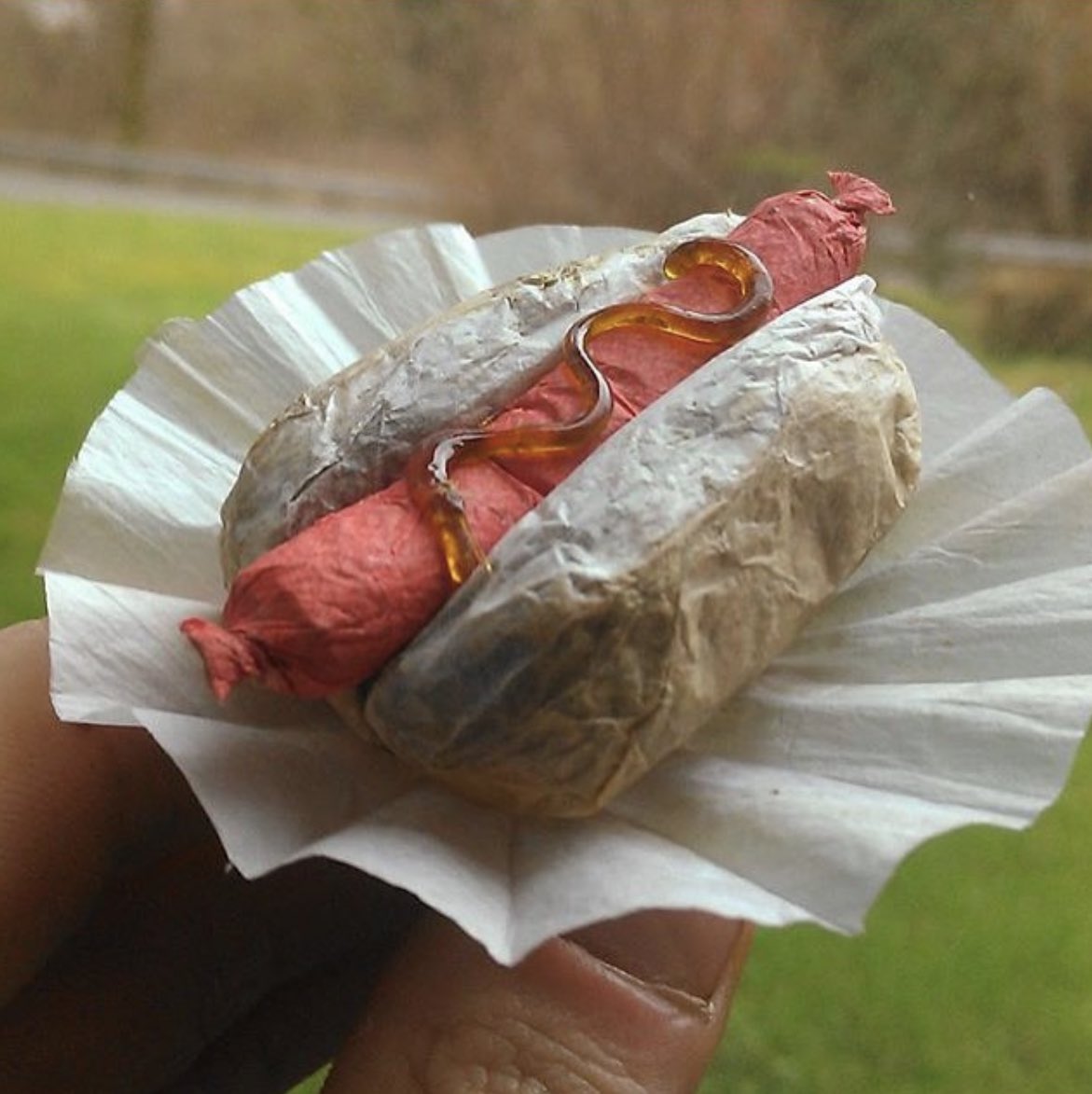 Lunch time gm to everybody who faded generational wealth with $pepe yesterday 🐸