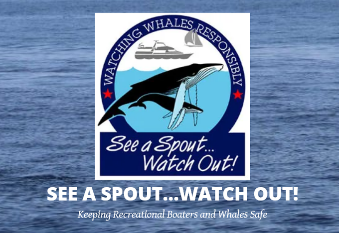 Screenshot of SeeASpout.org&acirc;s header image and graphic. Graphic has line art drawing of two whales below the water and a recreational boat and sailboat at the surface of the water.