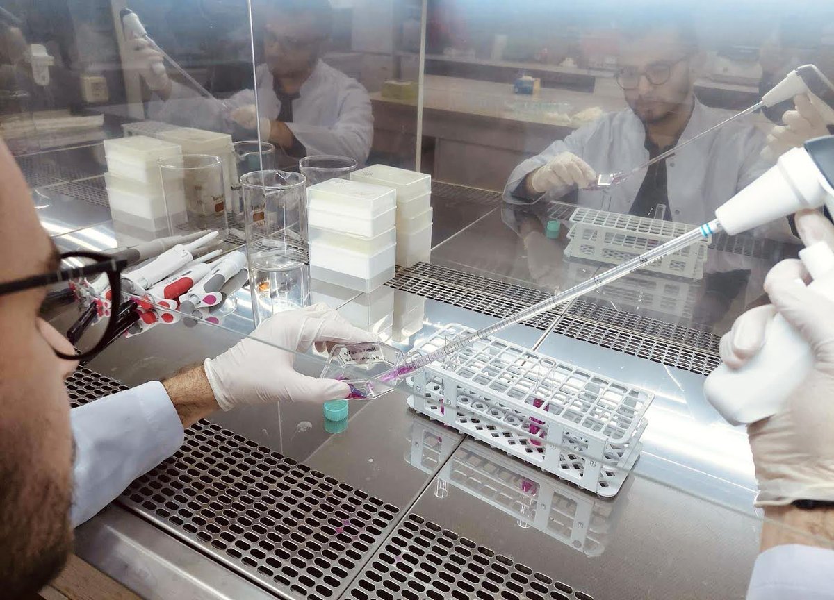 Rektorati's tweet photo. Të rinjtë nga tani e tutje mund të bëhen pjesë e programit “Biologjia molekulare”,🧪 i cili është edhe programi më i ri studimor i nivelit bachelor, i akredituar në Universitetin e Prishtinës.🔬

🔗 https://t.co/AUcDIcn73z

#UPisUP https://t.co/SATxfuUKcr