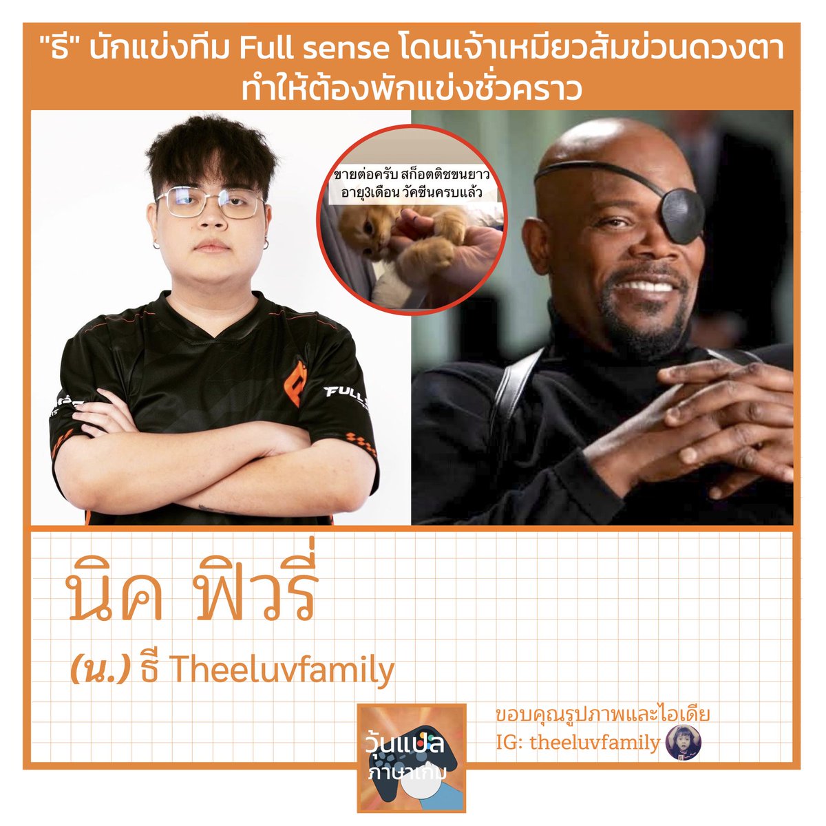 My Image 11