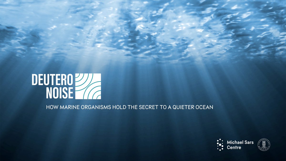 MSarsCentre's tweet image. An international and interdisciplinary consortium of researchers across Europe is investigating how noise pollution impacts marine life. Watch Marios Chatzigeorgiou @mchlab discuss the @jpioceans project @deuteronoise in a new film📽️➡️  bit.ly/3mLFuHK
#oneoceanweek @UiB