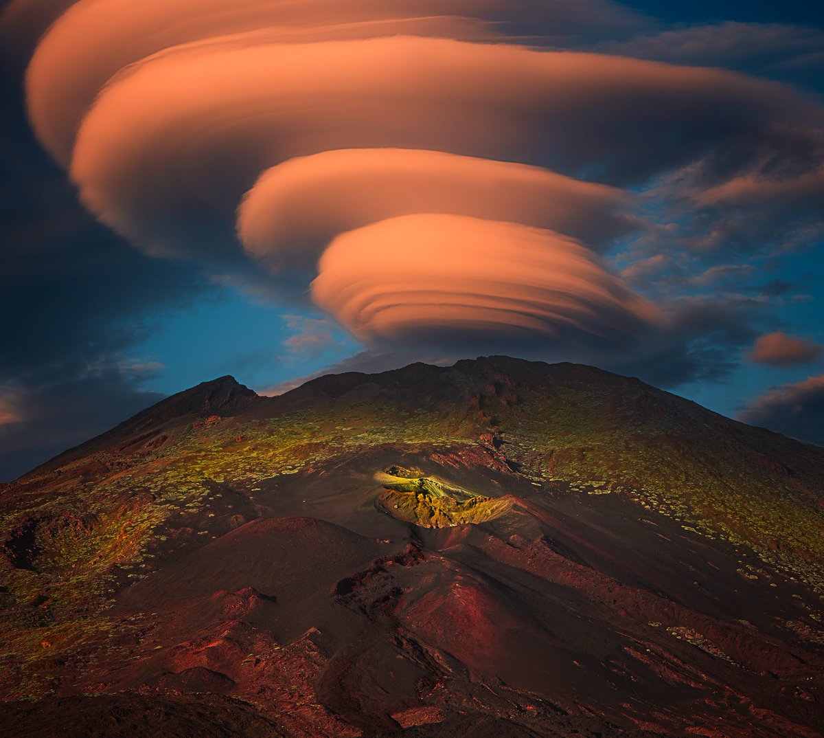 meanderquest 🐦@Supriya SRGenesis -The OtherWorld tweet media