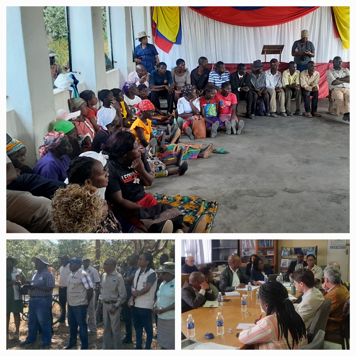 #SWMProgramme towards establishing a Community Conservancy in Binga  district in 🇿🇼! Permanent Secretary @METCHI, FAO Sub-Regional Coordinator (@faosfsafrica), official of EU delegation in 🇿🇼 (@euinzim) visited SWM project site and went 👍

@FAO @CIRAD @CIFOR @TheWCS @europeaid