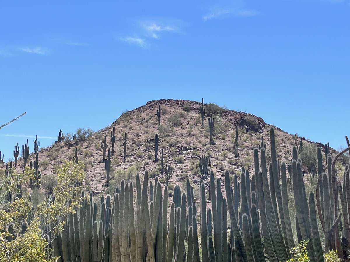 contec_group's tweet image. Good morning from Chandler Arizona! 

It has been a great week so far at The International Milk Haulers Convention.

If you are at the conference and haven't managed to catch up with Frank, you can get in contact here:
hubs.la/Q01LPnvw0

#IMHA #MilkHauling #MobileManifest