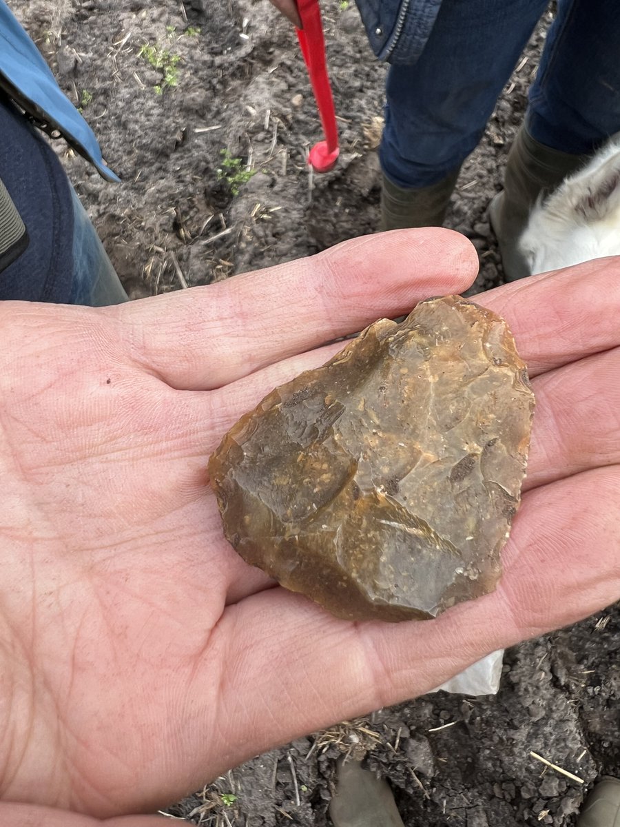 marcel_niekus's tweet photo. Last sunday we did our last survey for this season in #drenthe province in search of #Neanderthal artefacts. Our site #Peest produced several flakes, a core fragment, and a backed knife, but also a very finely made small, roughly 6 cm long #handaxe! It is one of the smallest https://t.co/dnGMBLBTte