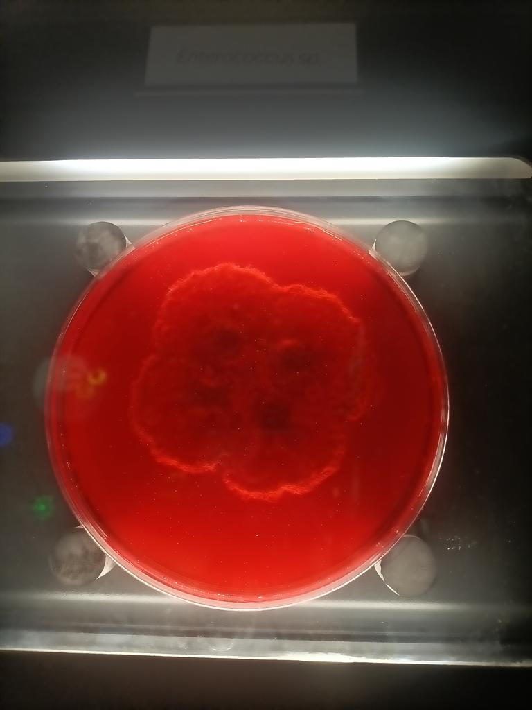 Valérie Ferreras tweet media