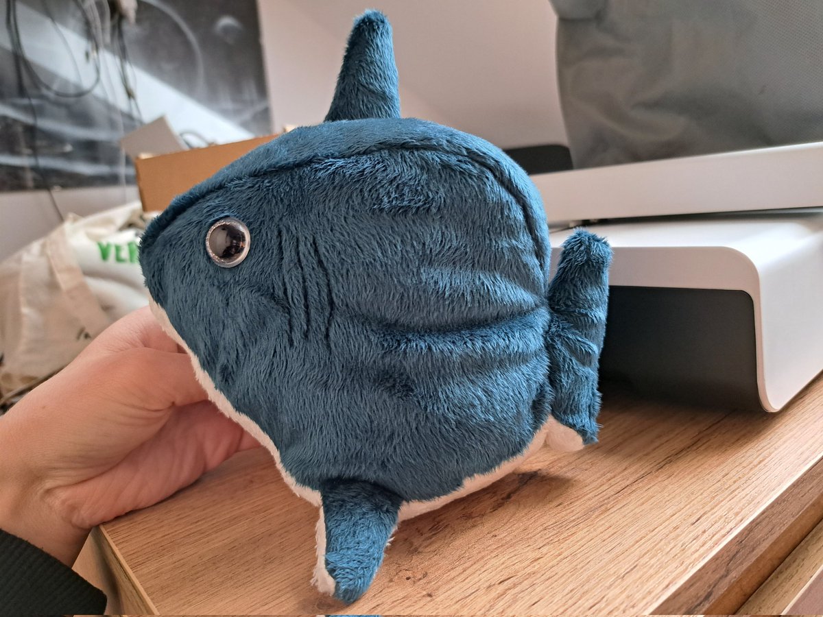 Knitting_Knight's tweet photo. Shark Orb (shorb) in small https://t.co/LltuEqA8SH