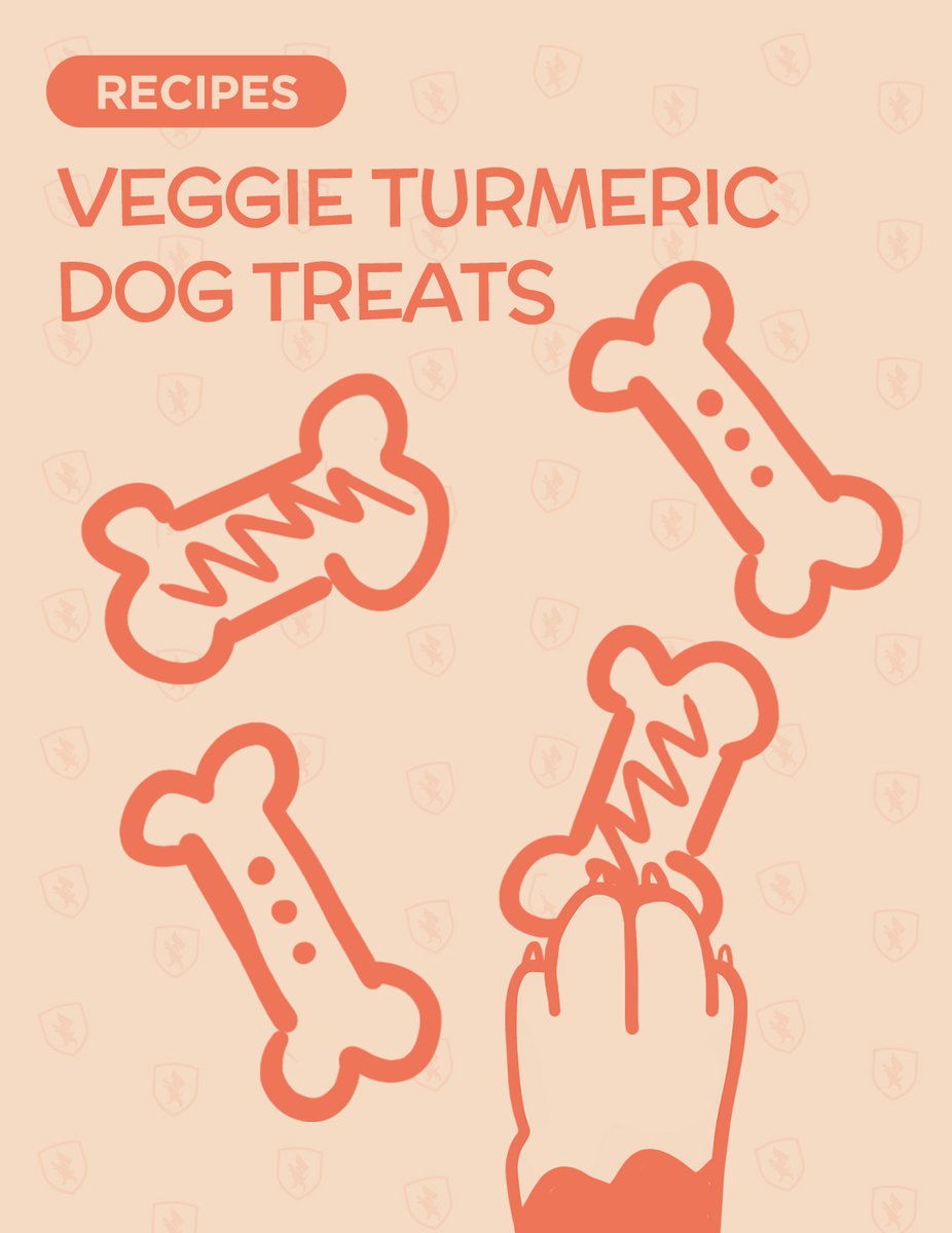 dogcitynyc.com/veggie-turmeri…

#dogblog #dogcitynyc #dogdaycare #dogwalking #doggrooming #dogboarding #dogtransportation
