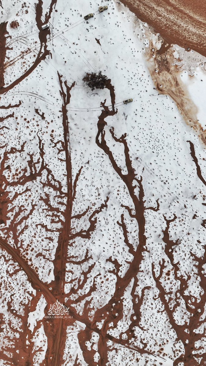 abdulrahm_alali's tweet photo. 📸
بردية شرق المبعوثة - جنوب #حائل 1444/09/27 منطقة #حائل - من #تصويري 😍 
@tqqs
@hail_weather https://t.co/J1trOaHmBJ
