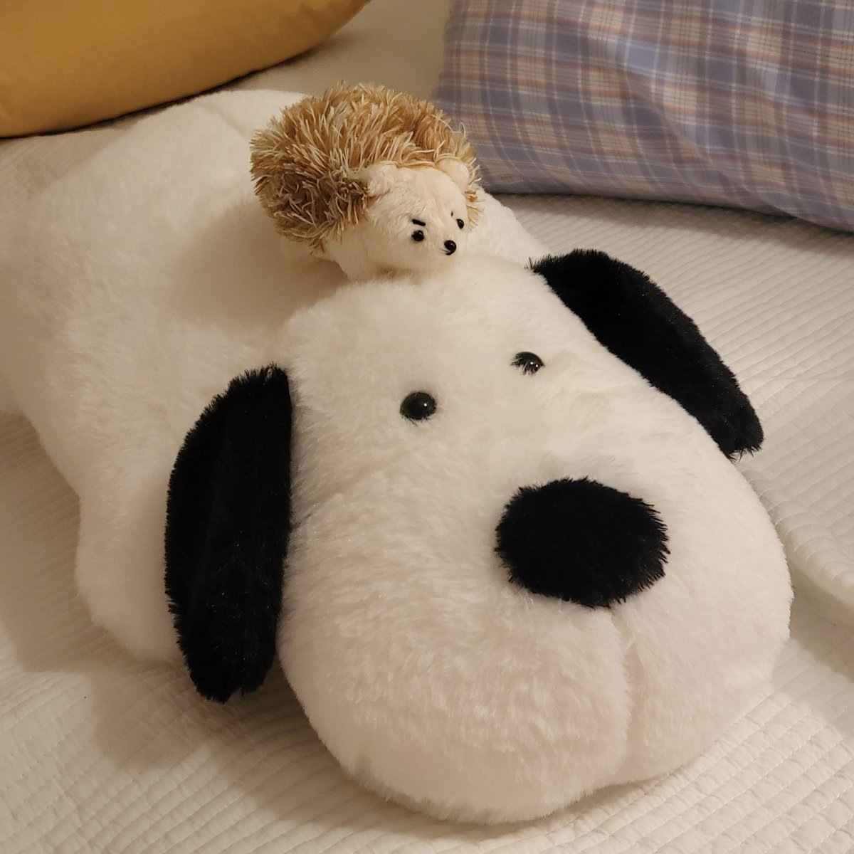 dochibeam's tweet photo. #행복한세상의뾰서기
뭐죠? 
전 뾰서기 입양했는데 
현석이가 우리 집에 왔어요... https://t.co/ADoprrgOy7