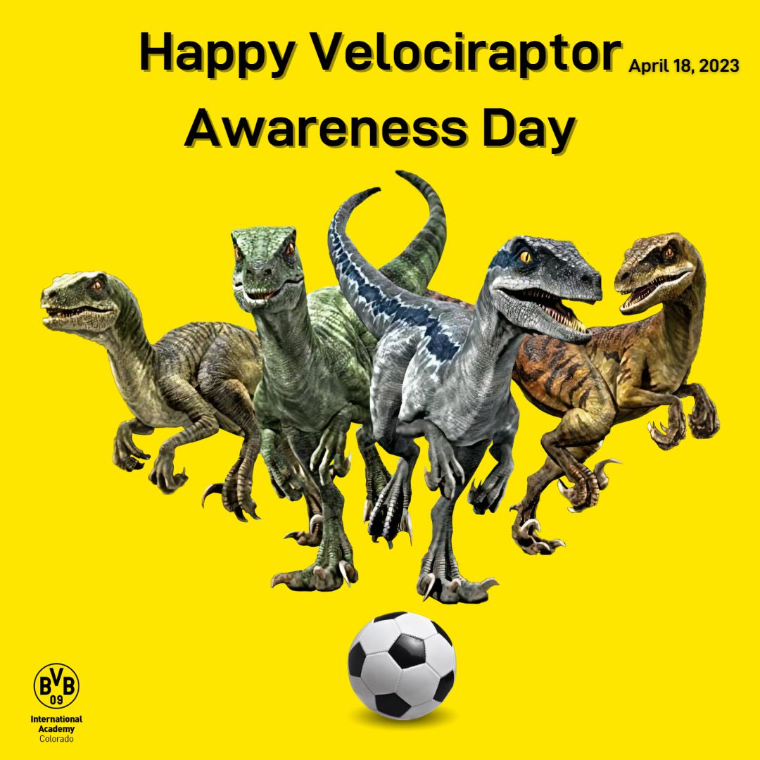 Happy Velociraptor Awareness Day!
Velociraptors weighed between 30 – 40 pounds, grew to be about 2 – 3 feet tall and 5- 6 feet long, with feathers! Estimates put the velociraptor at the size of today’s turkey that could run 40 miles/hour. - Just imagine if they played soccer!
