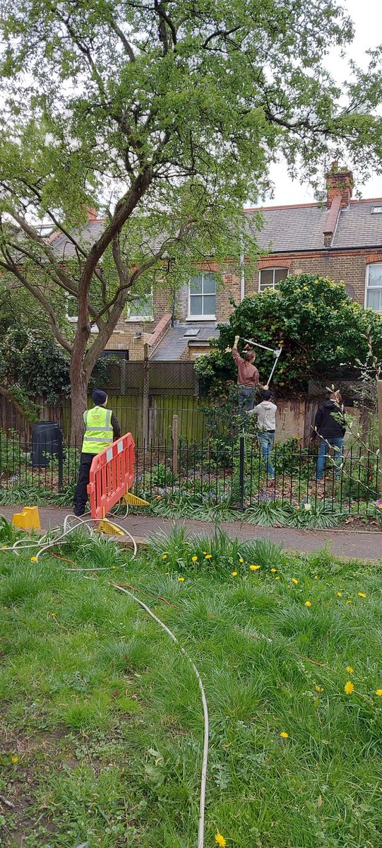 NPBigLocal's tweet photo. We had the lovely folk from @ZebraTechnology volunteering all day with us. They helped us to start sorting Floyde's Garden in @RussellPark_N22 in time for this summer's NP140 festivities! #LoveNoelPark #LifeAtZebra https://t.co/qRNlMfvtYb
