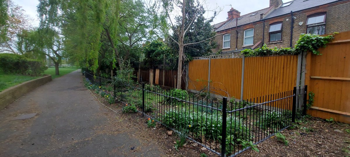 NPBigLocal's tweet photo. We had the lovely folk from @ZebraTechnology volunteering all day with us. They helped us to start sorting Floyde's Garden in @RussellPark_N22 in time for this summer's NP140 festivities! #LoveNoelPark #LifeAtZebra https://t.co/qRNlMfvtYb