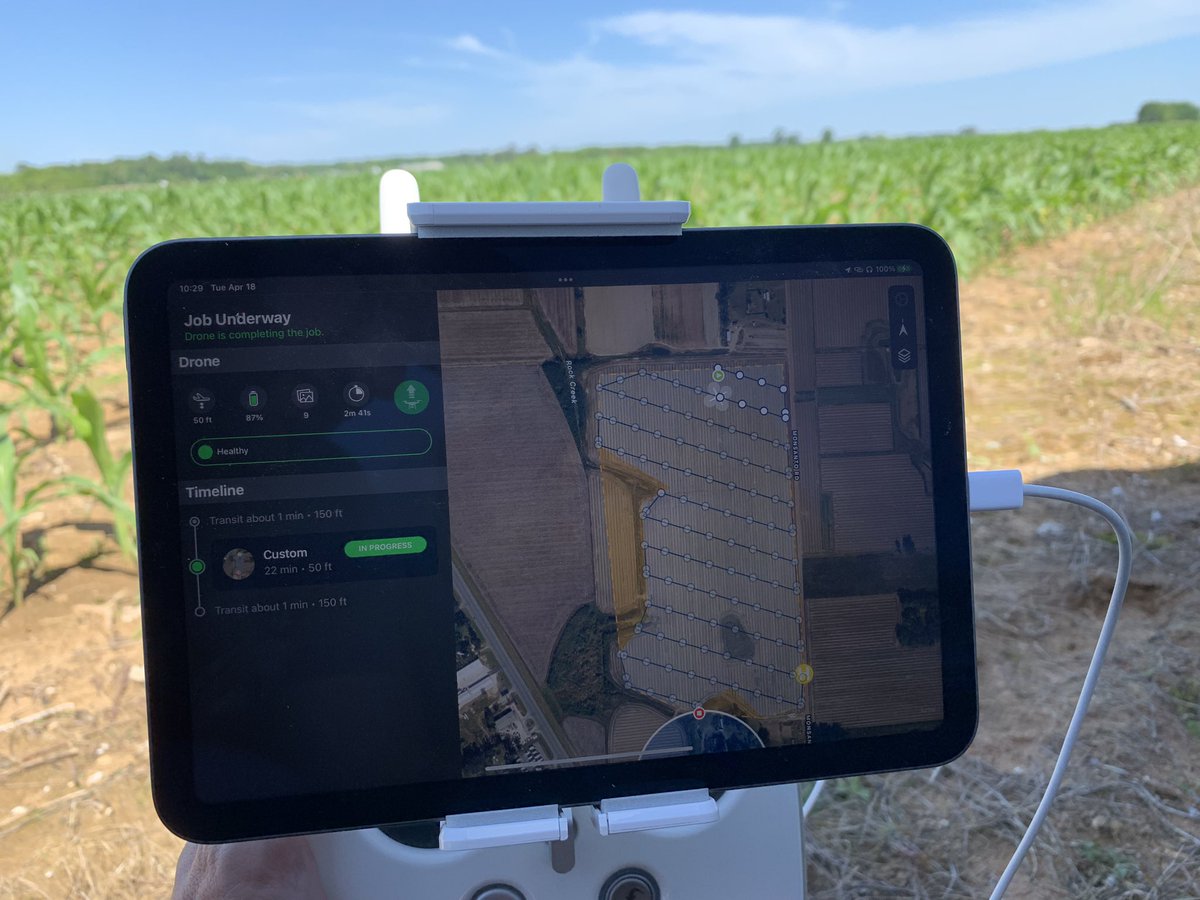 Guilherme Morata tweet media