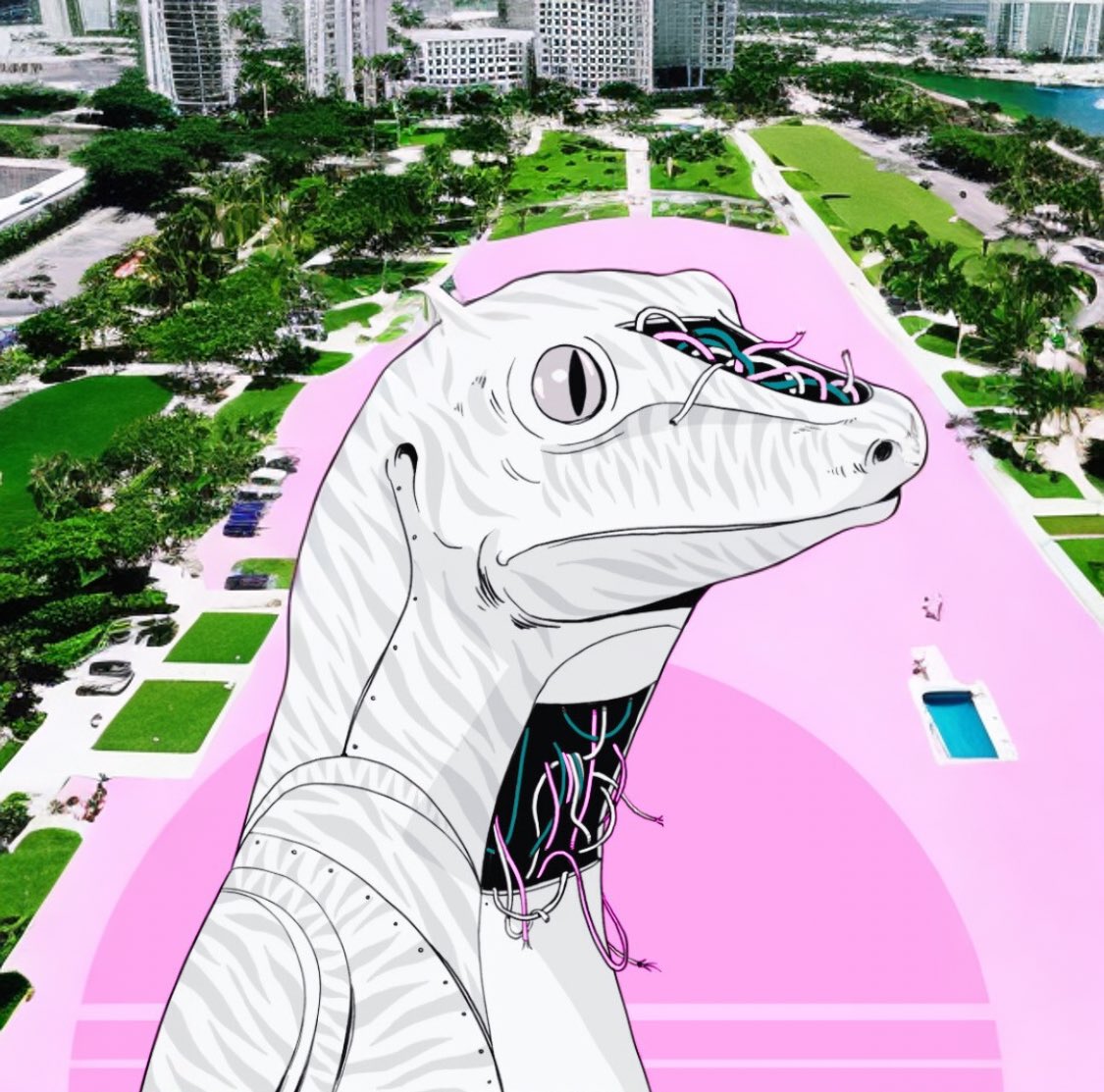 NorthernBayer's tweet image. gm ⛱️🩳