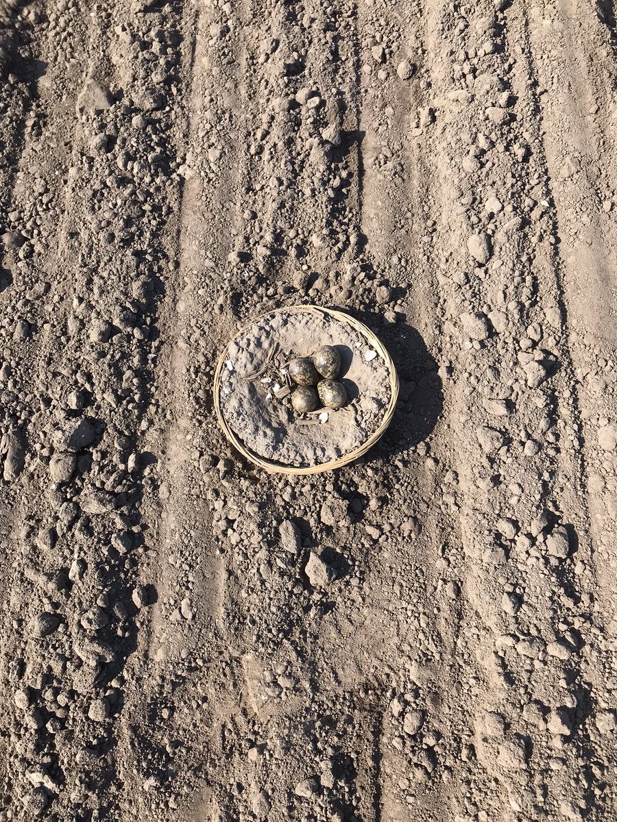 EINDELIJK💪🏻💪🏻💪🏻💪🏻