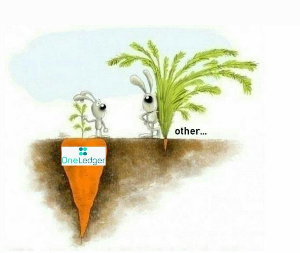 JJ⚔️DOJO⛩️ tweet media