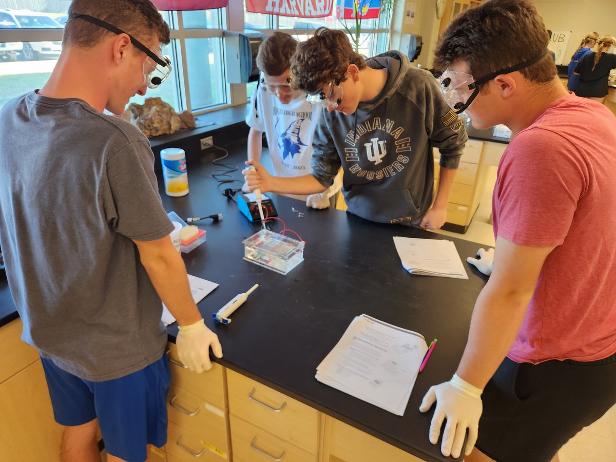 RHSMounties's tweet photo. AP Bio completing the 2nd day of the Chopped (DNA editing) Lab.
#TheCuttingEdge! #APBioROCKS https://t.co/TFP1MjkJLp