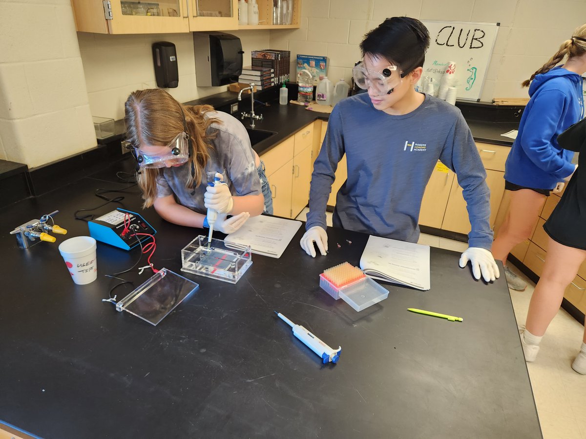 RHSMounties's tweet photo. AP Bio completing the 2nd day of the Chopped (DNA editing) Lab.
#TheCuttingEdge! #APBioROCKS https://t.co/TFP1MjkJLp