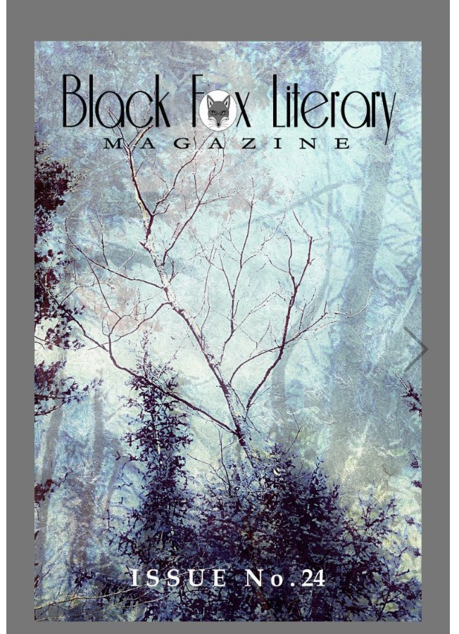 KBG_Tweets's tweet image. Love a “Birch Forest” — cover art by me! Thanks @blackfoxlit for the cover!! 🎩 #coverart #artistsontwitter