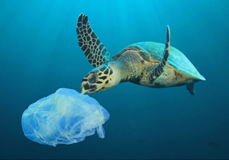 UNEP_NAmerica's tweet photo. The Tide Turner Plastic Challenge has engaged over 1/2 million youth to take action against #plasticpollution. Celebrate achievements &amp; help with  the next phase on APRIL 20 at a launch event &amp; roundtable on the @UNEP &amp; @LonelyWhale Report on Youthwashing: https://t.co/EwyfqvJciI https://t.co/cwOsSN7r53