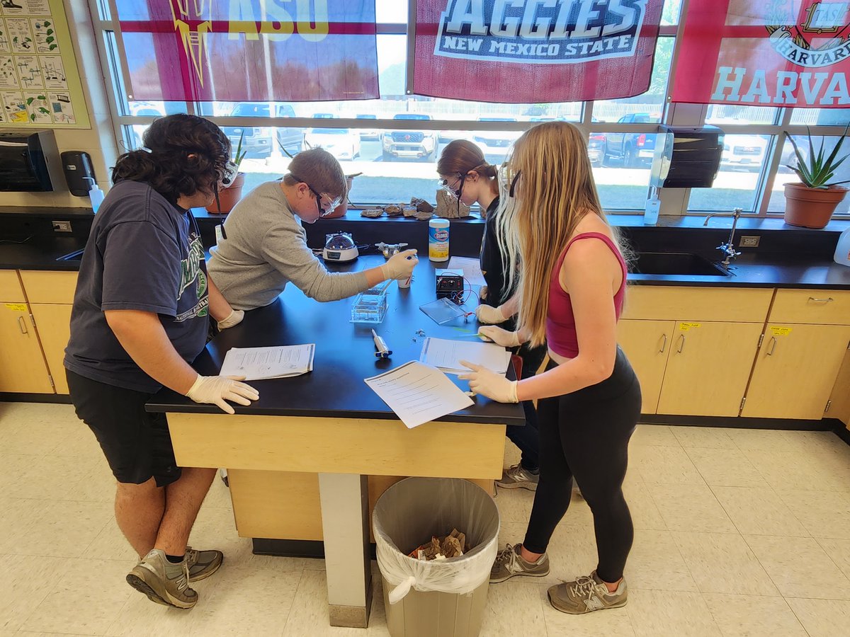 RHSMounties's tweet photo. AP Bio completing the 2nd day of the Chopped (DNA editing) Lab.
#TheCuttingEdge! #APBioROCKS https://t.co/YTQtGasDCX