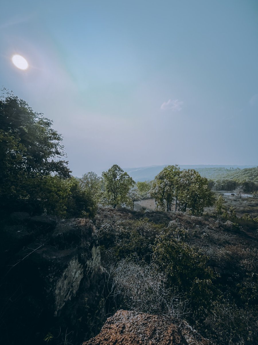 Deasprado's tweet photo. Green valley kusmi chattisgarh #photography #naturelovers #natgeo  #TwitterNatureCommunity #wildlife #Chhattisgarh https://t.co/YxYsNcCfXL