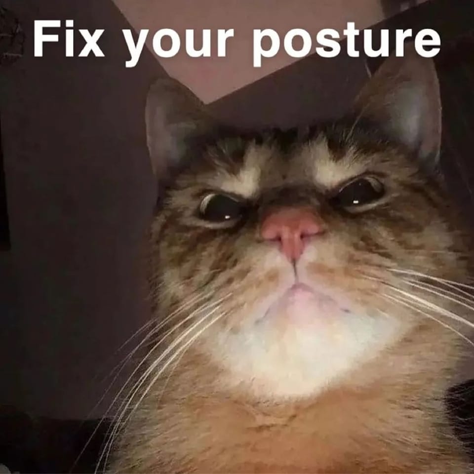 CATBRAINCELL's tweet photo. https://t.co/3pqLaQczX2