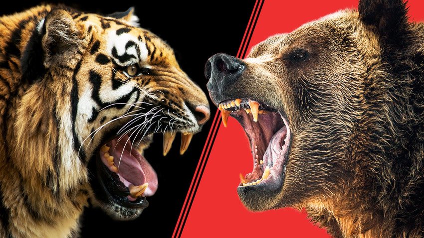 Byron_Base_Ball's tweet photo. It’s game day Bears baseball fans. V/JV DH at home 🆚 Stewartville. The Killer B’s get the starts. 
⏰4 pm DH
📍MS Fields
⚾️SP game 1-Bielen 🐝
⚾️SP game 2- Brennan 🐝
🌥️51 degrees
🎟️free
📣Let’s Go Bears!
@stewiebaseball @ByronYouthBB @ByronActivities @Sports_PB https://t.co/mLNWwA5yAi