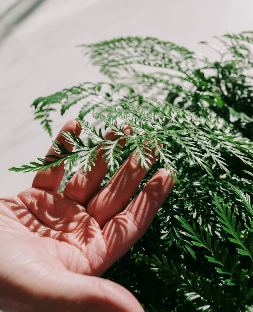 Did you know this Saturday the 22nd is #earthday? 🌏⁠
⁠
Running since the 70s, Earth Day has been celebrated world-wide with the hope of raising awareness and support for environmental protection, and this year's theme is 'Invest in our planet' ⁠
… instagr.am/p/CrLokuThNJY/