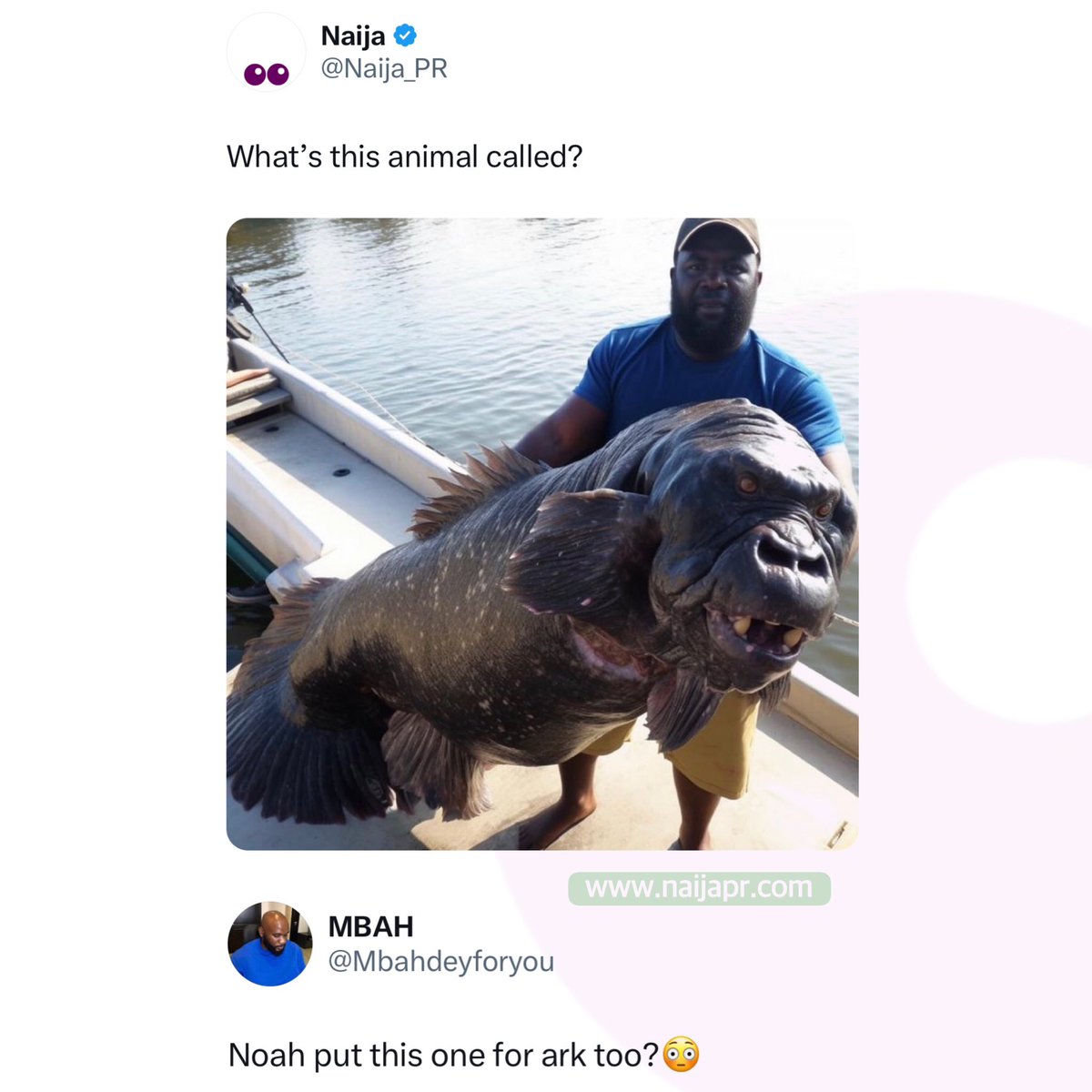 Naija_PR's tweet photo. He really put everything in that ark💀 https://t.co/prJVwIjpwx