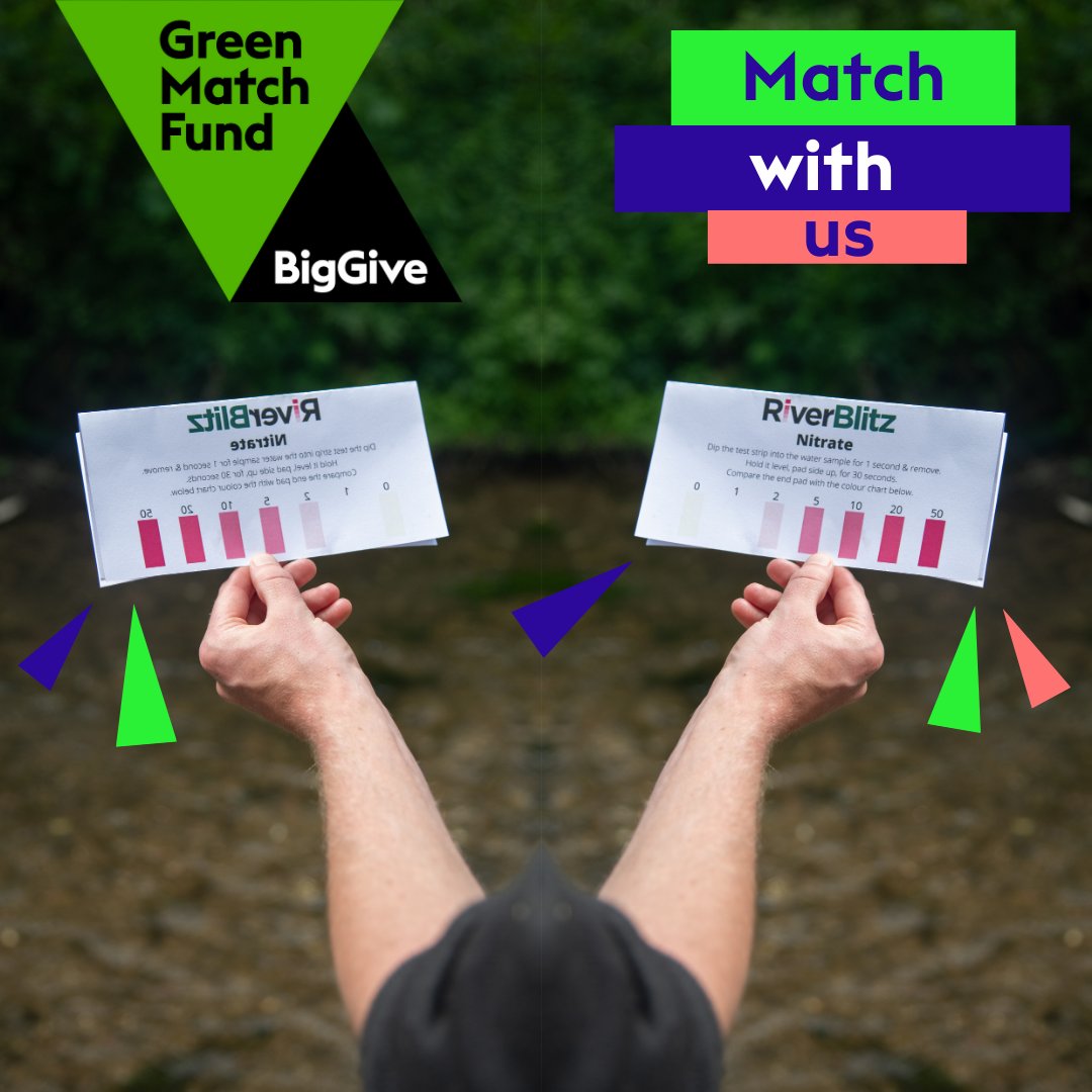 BristolAvonRT's tweet photo. Match with us! 

It is day 2 of our exciting Big Give campaign. Give to our RiverBlitz project today and your donation will be doubled by Big Give. 

RiverBlitz is a fantastic citizen science project, now in it’s 8th year. 

Give now: https://t.co/79aXg8Su3q https://t.co/iIxjWrm4yR