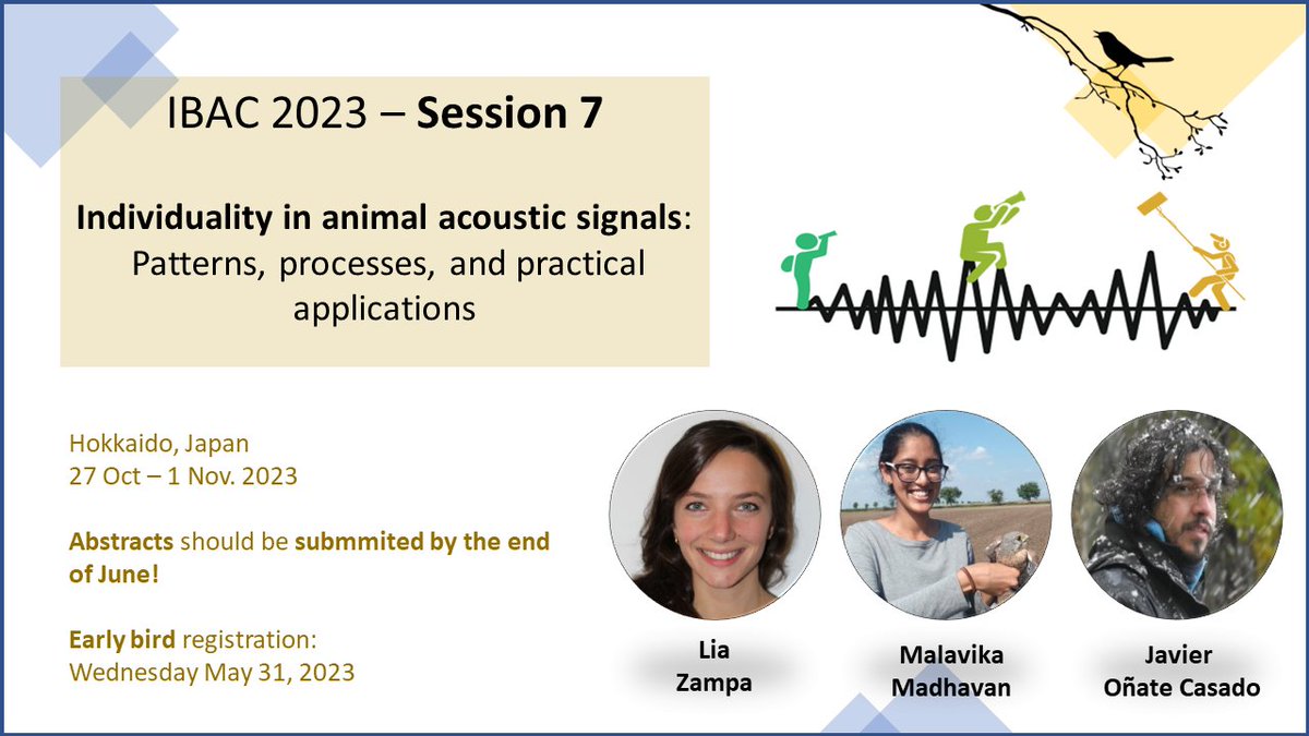 _malavika_m's tweet photo. 📢 Do you work on vocal individuality? Then don't miss our symposium at #IBAC2023! Organised by @Onate_Javi92, @ZampaLia and me. We look forward to your abstracts by June 30th! 
#bioacoustics #individuality #AnimalSignals #signatures
[Please RT] https://t.co/iECFrbJiiO