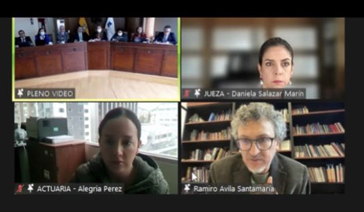 Yasunidos's tweet photo. Inicia intervención de lxs proponentes de la consulta 🗳️

En representación de YASunidos expone los alegatos @ravila67, abogado del colectivo. 
#PrimeroElYasuní

@CarmenzaCorral @Alozpra @AndradeqKarla @dsalazaca @marlin99x @xacardenas @CorteConstEcu @richard_ortizec https://t.co/HrjwiJ0o1T