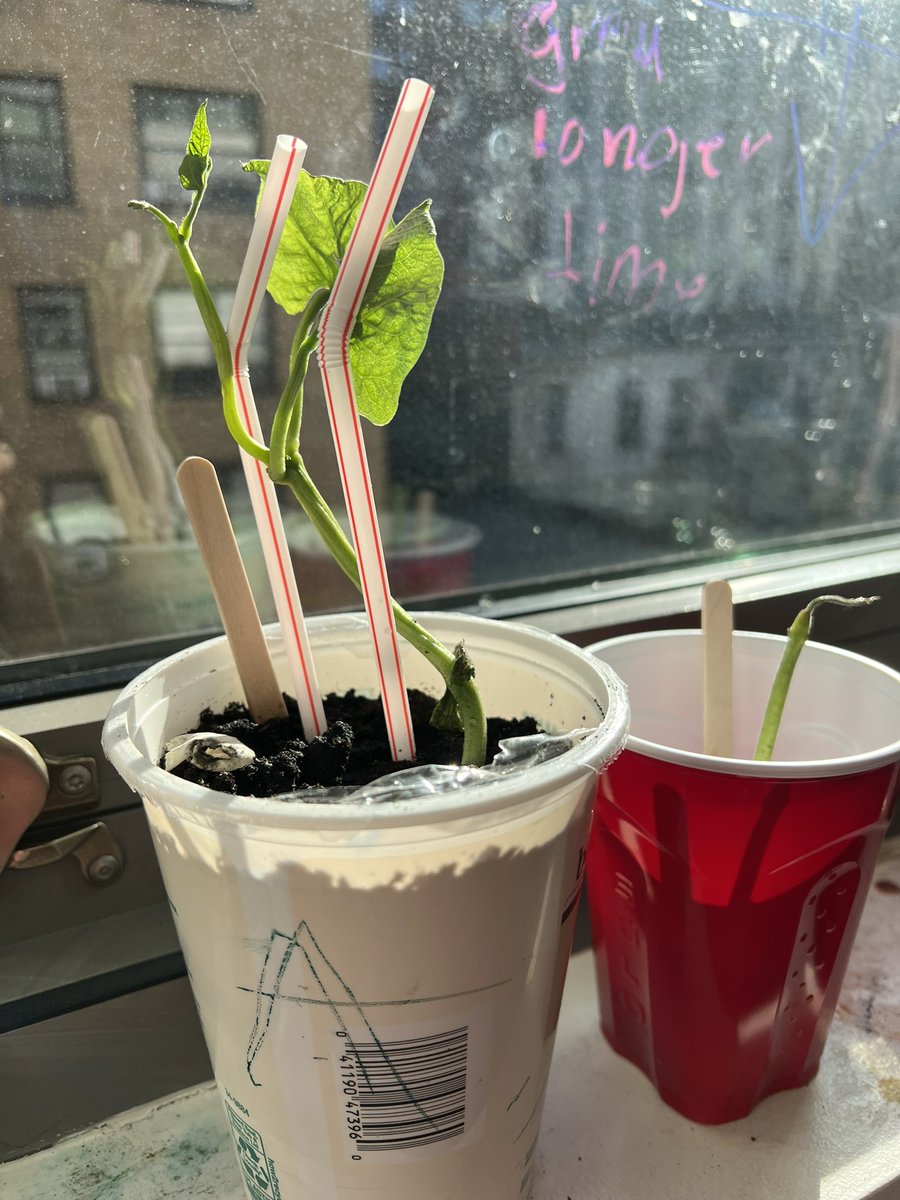 Science & Engineering at Allen Stevenson tweet media