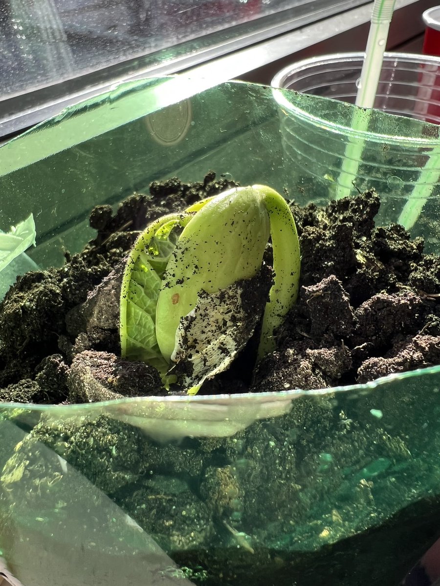 Science & Engineering at Allen Stevenson tweet media