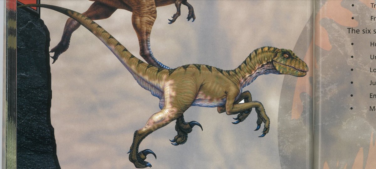 Lewis Lee (Jurassic Korea) on Twitter: