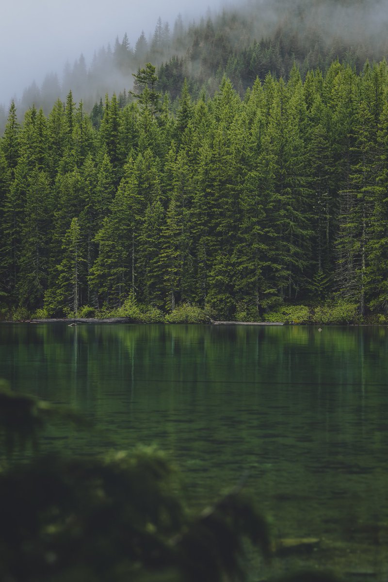 RileyxCollins's tweet photo. Moody days at the high lakes… https://t.co/hVTaKMCdOT