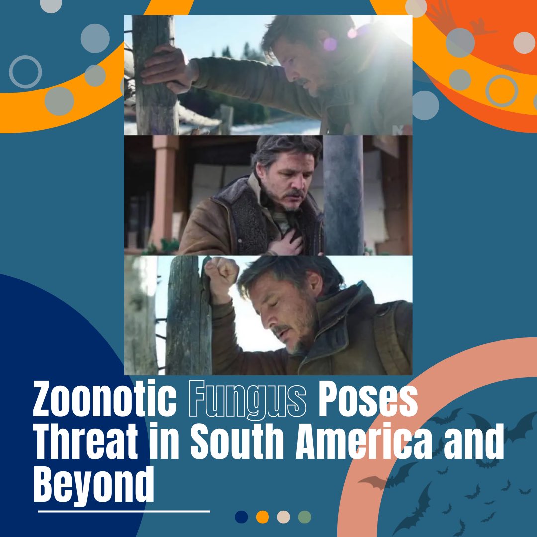 UF One Health Center tweet media