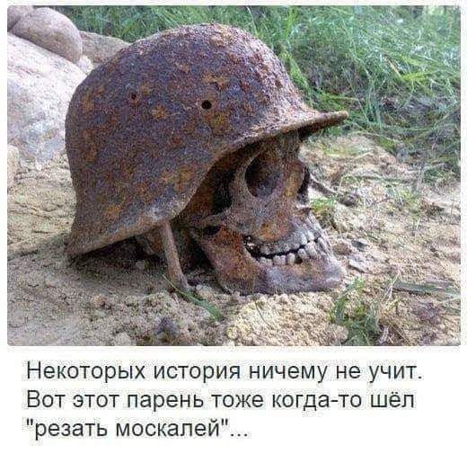 sukker (@sukker64) on Twitter photo 